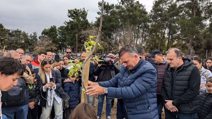 Δράση δενδροφύτευσης στην οδό Θεοφράστου