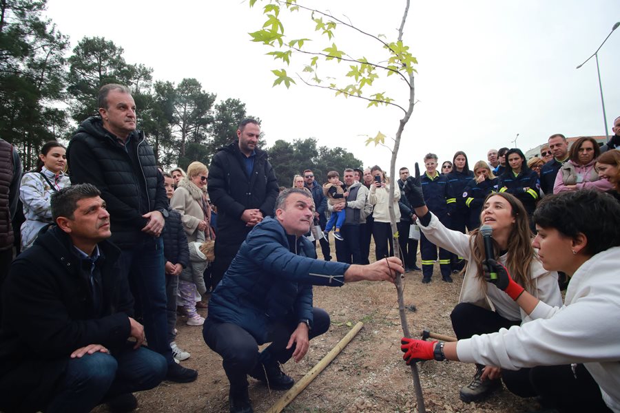 Δράση δενδροφύτευσης στην οδό Θεοφράστου